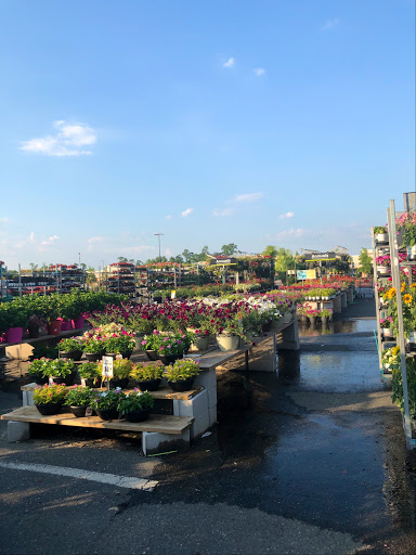 Pet Supply Store «PetSmart», reviews and photos, 310 NJ-36, West Long Branch, NJ 07764, USA