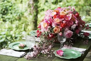 Judy Chirnside Flowers image