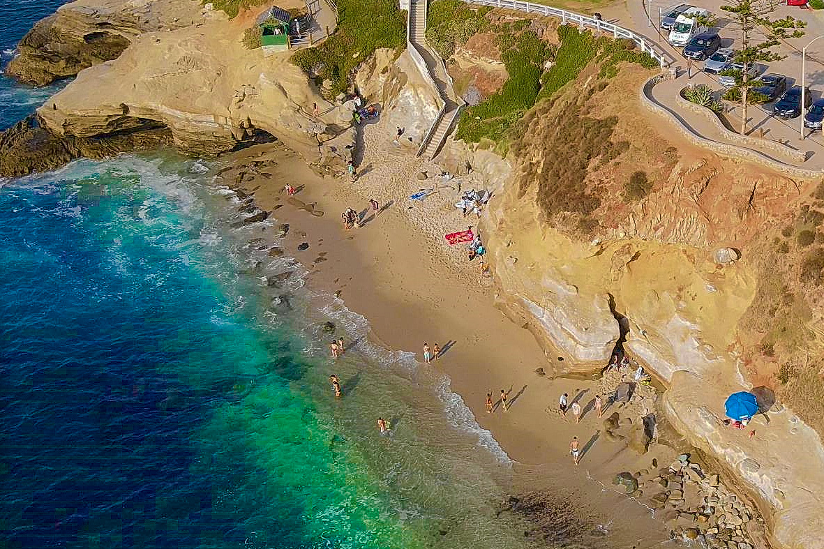 Shell beach'in fotoğrafı çok temiz temizlik seviyesi ile
