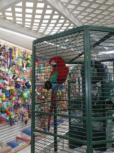 Pet Store «Discount Pet & Supplies», reviews and photos, 16320 Middlebelt Rd, Livonia, MI 48154, USA