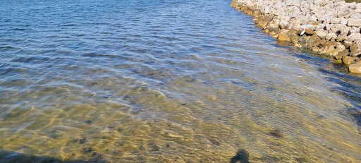 Park «Wall Springs Park», reviews and photos, 3725 Desoto Blvd, Palm Harbor, FL 34683, USA