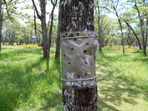 Golf Course «Fort Steilacoom Golf Course», reviews and photos, 8202 87th Ave SW, Lakewood, WA 98499, USA