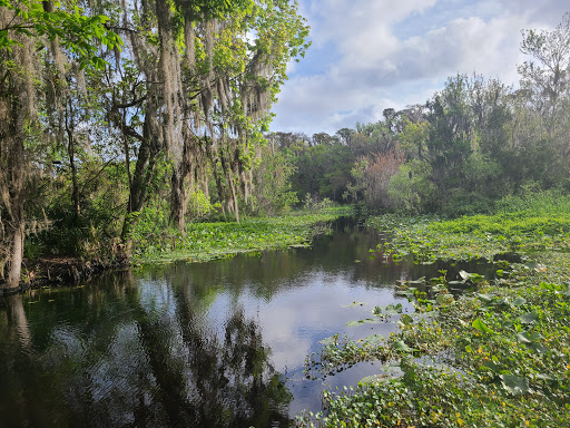 Campground «Wekiva Falls RV Resort», reviews and photos, 30700 Wekiva River Rd, Sorrento, FL 32776, USA