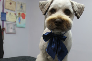 Lavender Dog Grooming Company