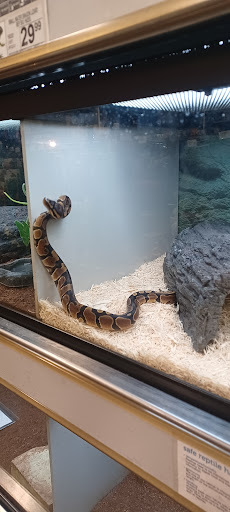 Pet Supply Store «Petco Animal Supplies», reviews and photos, 2005 W 8 Mile Rd, Detroit, MI 48203, USA