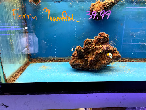 Pet Store «Fish Bowl Aquarium & Pet Mart», reviews and photos, 725 Providence St, West Warwick, RI 02893, USA