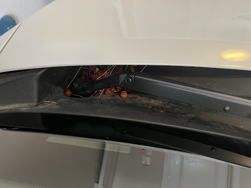 Car Wash «Wave Car Care Center», reviews and photos, 9195 Wadsworth Pkwy, Westminster, CO 80021, USA