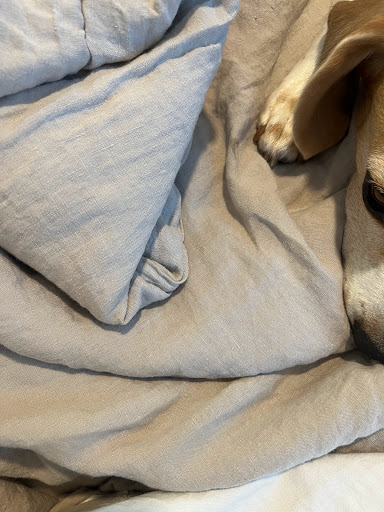 Dry Cleaner «Ridge Cleaners», reviews and photos, 23515 NE Novelty Hill Rd, Redmond, WA 98053, USA