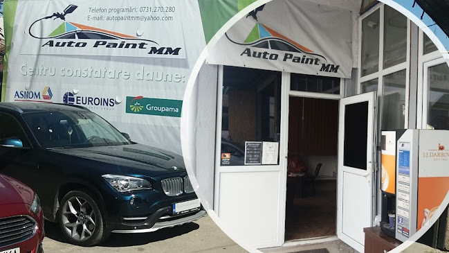 Comentarii opinii despre Auto Paint MM