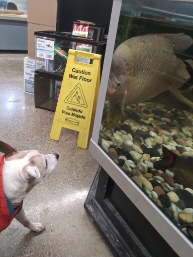 Pet Supply Store «Petco Animal Supplies», reviews and photos, 239 Newburyport Turnpike, Topsfield, MA 01983, USA