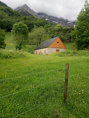 Pyrénées Gascogne à Tarbes
