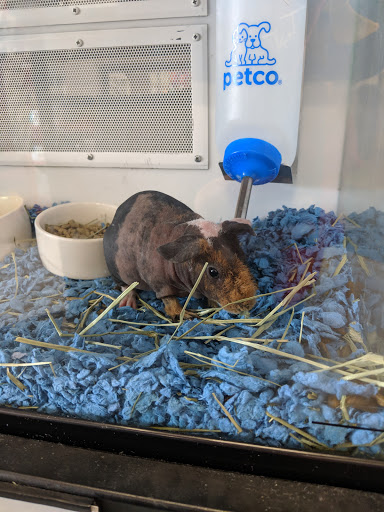 Pet Supply Store «Petco Animal Supplies», reviews and photos, 430 N Euclid St, Anaheim, CA 92801, USA