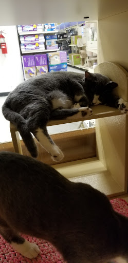Pet Supply Store «PetSmart», reviews and photos, 901 Old York Rd, Jenkintown, PA 19046, USA