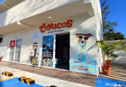 Coyucos Boutique Sucursal 1