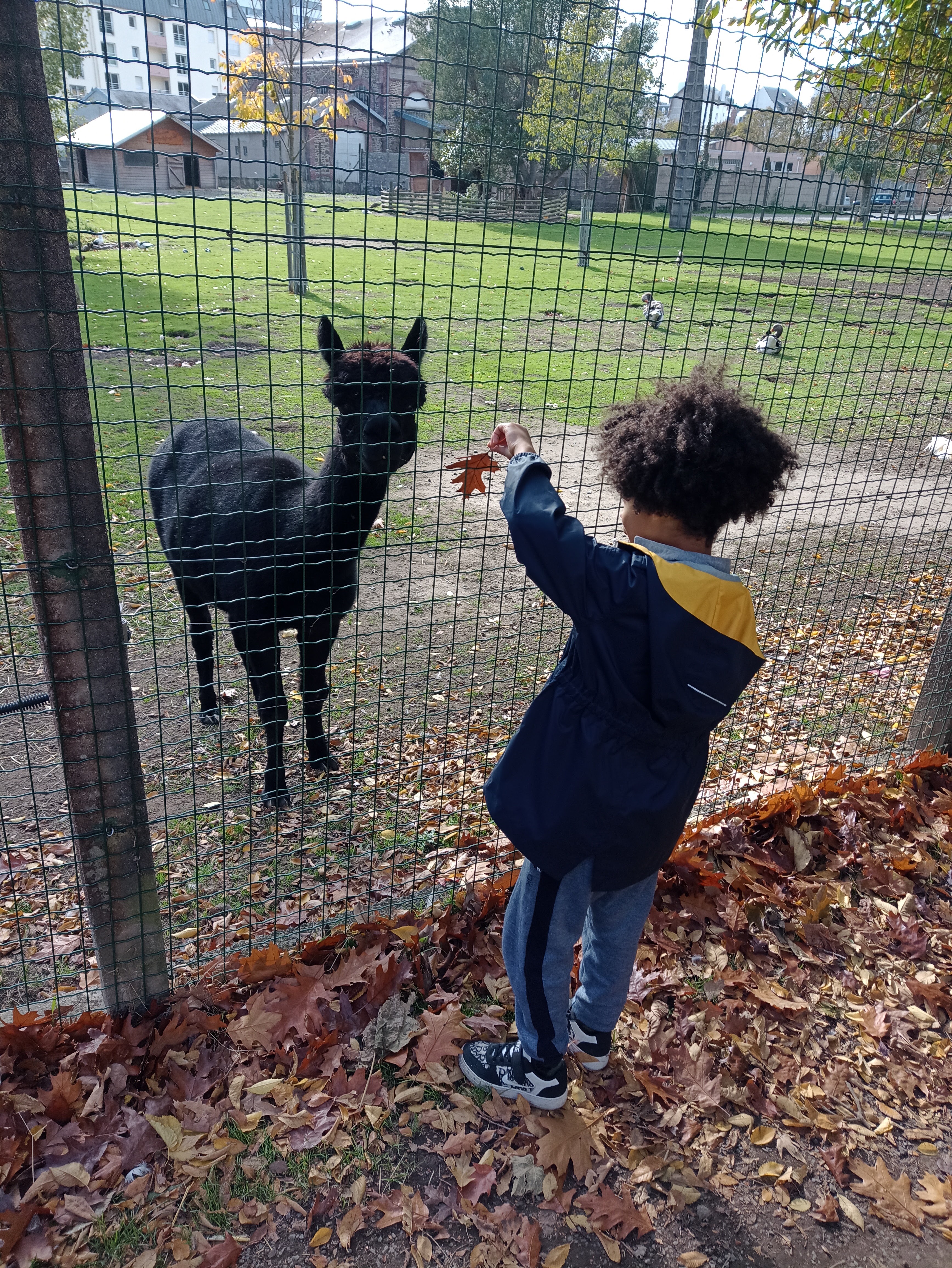 Photo n° 1 de l'avis de Gilles.e fait le 26/10/2022 à 13:53