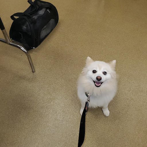 Pet Supply Store «Petco Animal Supplies», reviews and photos, 9645 Skokie Blvd, Skokie, IL 60077, USA