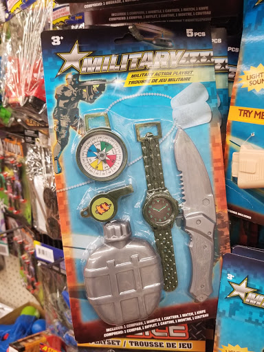 Dollar Store «Dollar Tree», reviews and photos, 8766 W Dempster St, Niles, IL 60714, USA