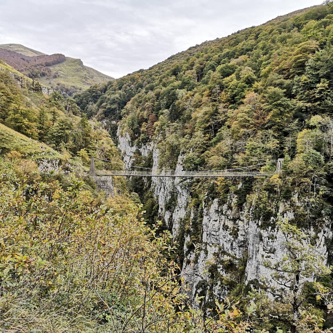 Photo n° 1 de l'avis de Pauline.. fait le 29/10/2019 à 09:42