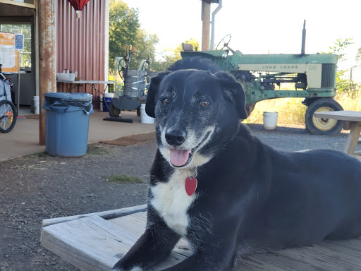 Pumpkin Patch «Liberty Mills Farm», reviews and photos, 9166 Liberty Mills Rd, Somerset, VA 22972, USA