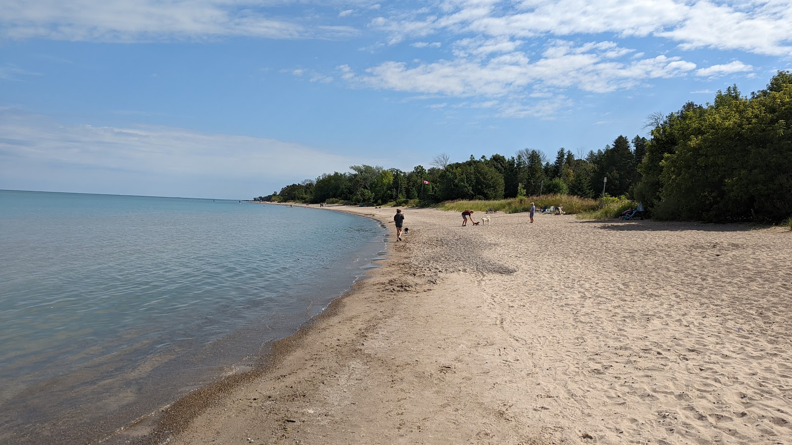 Foto av Point Clark Beach med beige sand yta