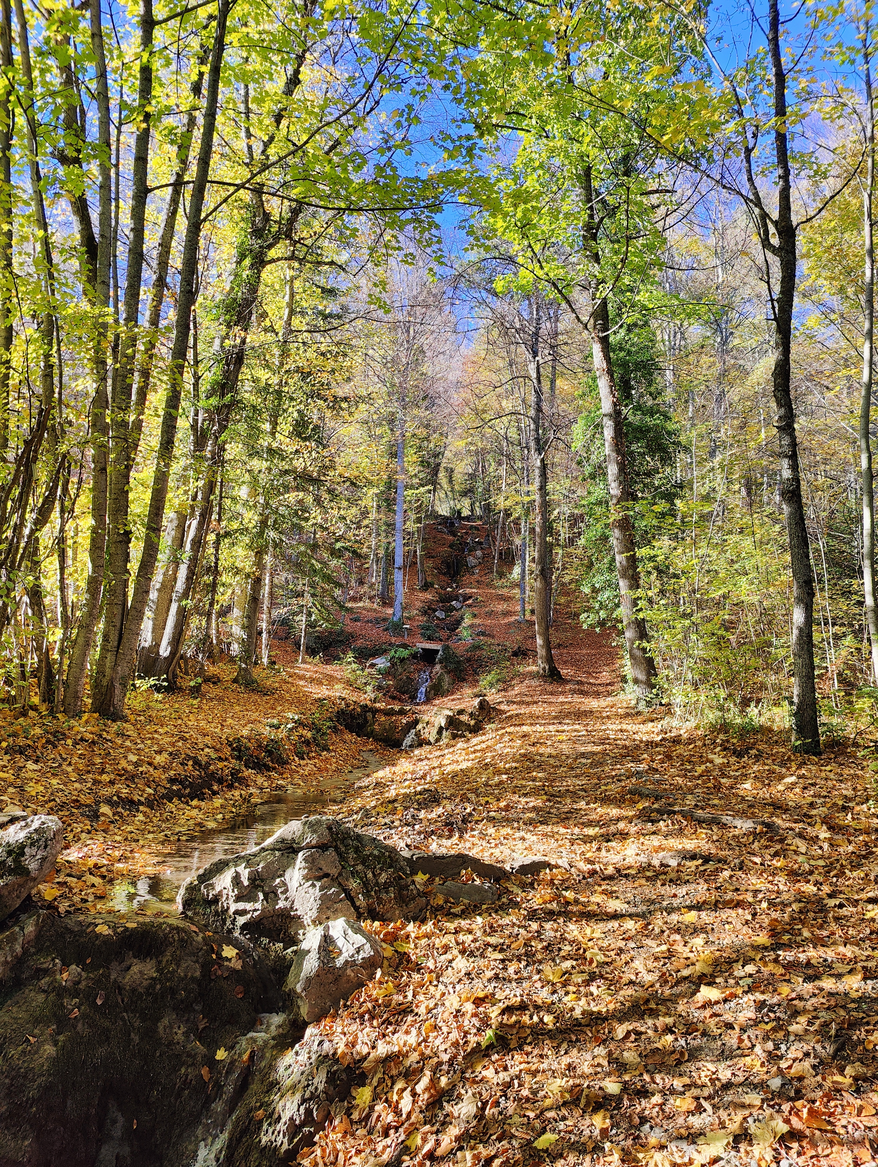 Photo n° 6 de l'avis de Nicolas.a fait le 05/11/2022 à 15:54