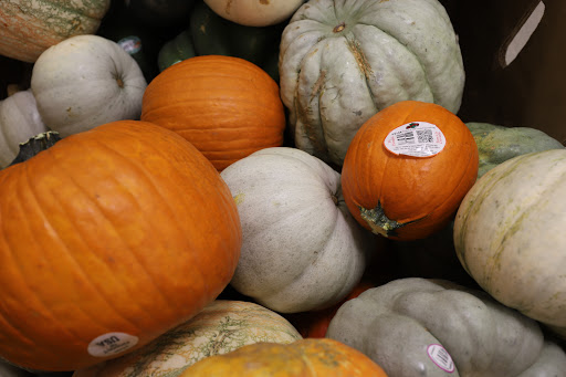Grocery Store «Food Lion», reviews and photos, 215 Stadium St, Smyrna, DE 19977, USA
