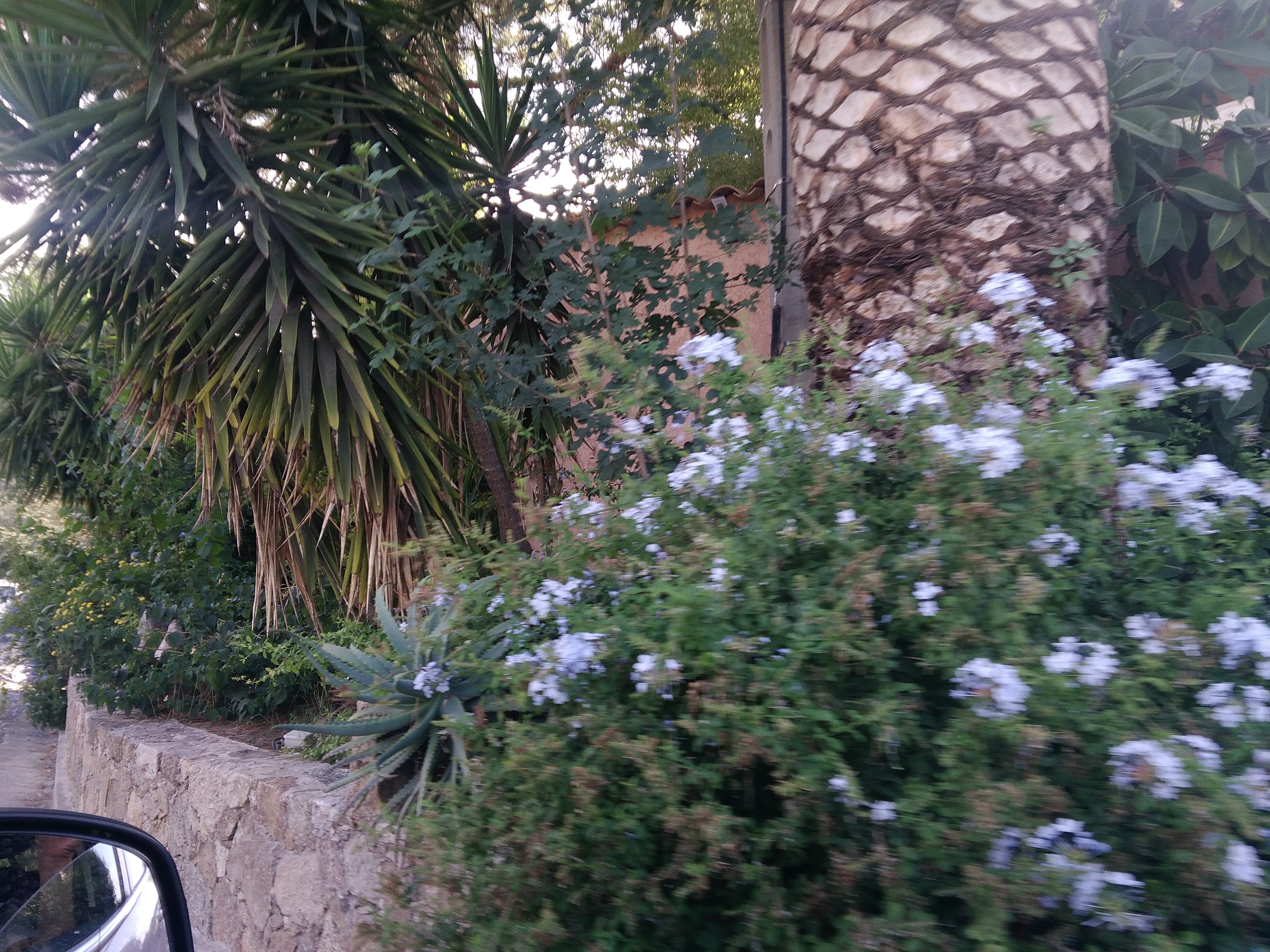 Photo n° 4 de l'avis de Mary.. fait le 02/09/2018 à 18:58