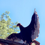 Photo n° 3 de l'avis de Marc.e fait le 29/05/2022 à 08:58 pour Zoo de La Flèche à La Flèche