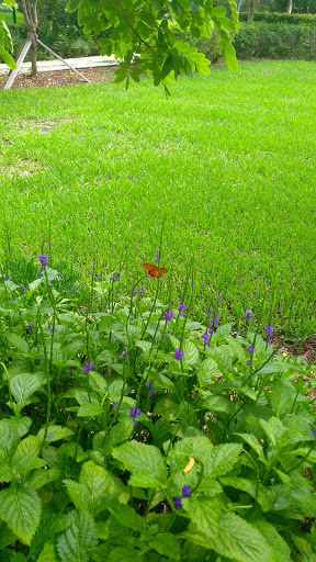 Park «Olympic Park», reviews and photos, 8601 SW 152nd Ave, Miami, FL 33193, USA