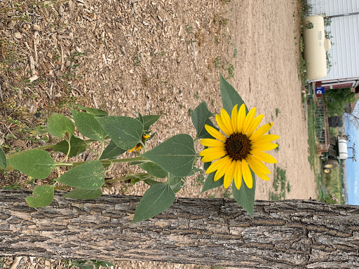 Produce Market «Berry Patch Farms», reviews and photos, 13785 Potomac St, Brighton, CO 80601, USA