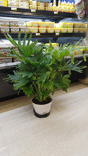 Supermarket «Jons Marketplace», reviews and photos, 6655 Van Nuys Blvd, Van Nuys, CA 91405, USA