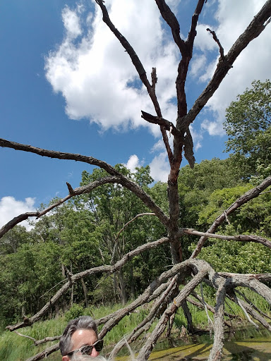 Nature Preserve «Pulaski Woods East», reviews and photos, 9600 Wolf Rd, Willow Springs, IL 60480, USA