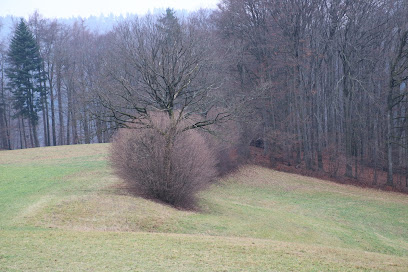 Kantonale Verwaltung BEObachtungsstation