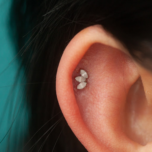 Explore dinosaur tattoo ideas, creative tattoo ideas in Boston, available at Arcadia Body Piercing