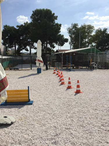 Εκπαιδευτής Σκύλων Βολανάκης Βασίλης