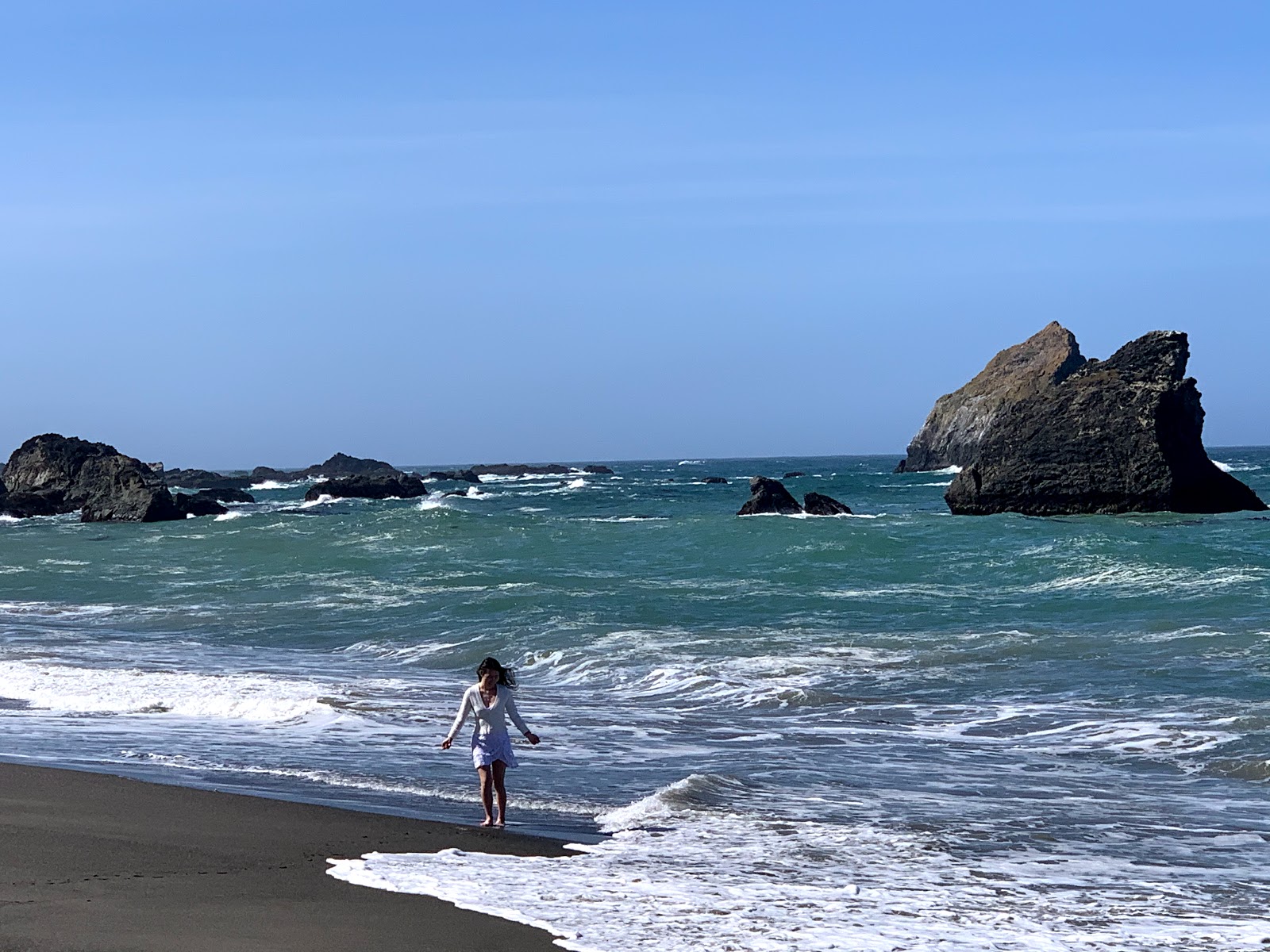 Foto di Navarro Beach ubicato in zona naturale