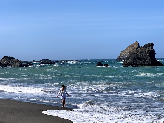Navarro Beach