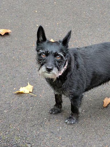 Park «Percy Warner Park», reviews and photos, 7311 Tennessee 100, Nashville, TN 37221, USA