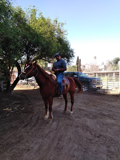 C & K Horse Ranch