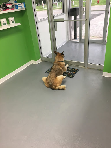 Community Veterinary Clinic image