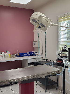 SELARL vétérinaires de Gatines à Valençay