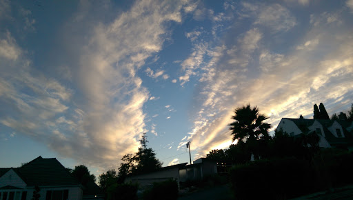 Sporting Goods Store «Big 5 Sporting Goods», reviews and photos, 3121 Wilshire Blvd, Santa Monica, CA 90403, USA