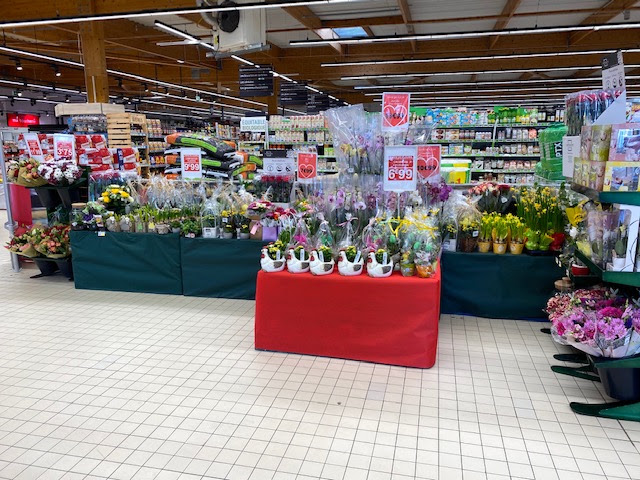 Photo n° 28 de l'avis de pires.o fait le 31/03/2021 à 15:39