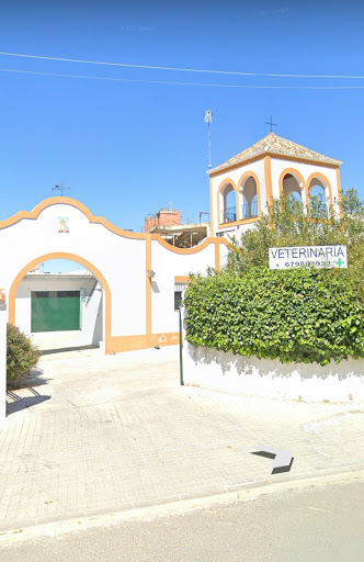 Centro Veterinario Gerena en Gerena