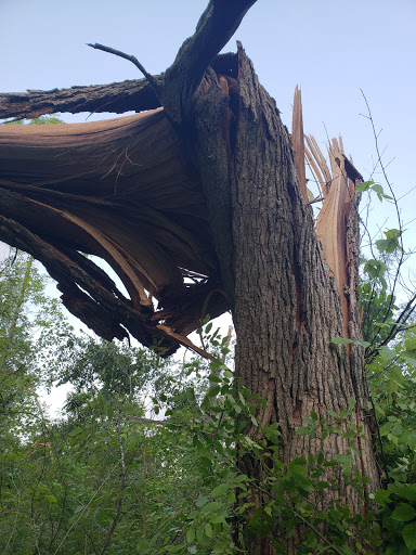 Nature Preserve «Beanblossom Bottoms Nature Preserve - Sycamore Land Trust», reviews and photos, N Woodall Rd, Ellettsville, IN 47429, USA