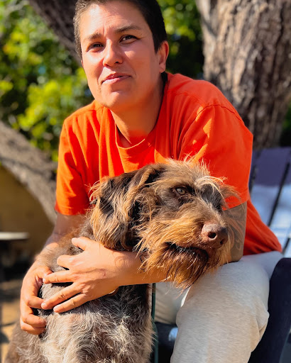 All Dogs Society image
