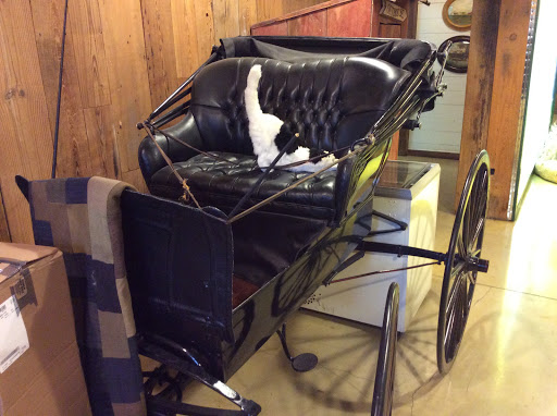 Shoe Store «SAS Shoes», reviews and photos, 1717 Sas Dr, San Antonio, TX 78224, USA