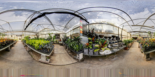 Florist «Dr Delphinium Flower & Orchid House», reviews and photos, 513 W Campbell Rd, Richardson, TX 75080, USA