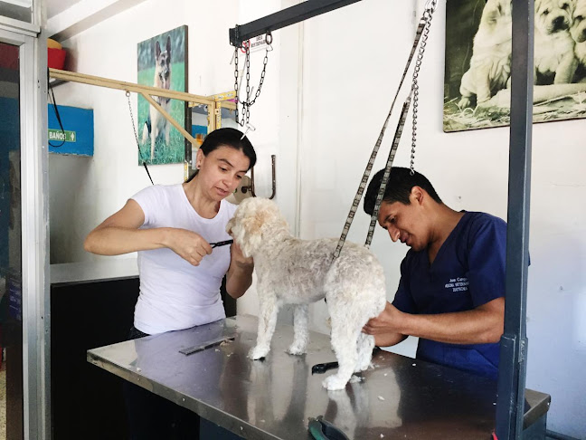 Opiniones de Clínica veterinaria El Establo en Loja - Veterinario