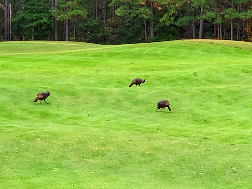 Golf Course «Legends Golf & Resort», reviews and photos, 1500 Legends Dr, Myrtle Beach, SC 29579, USA